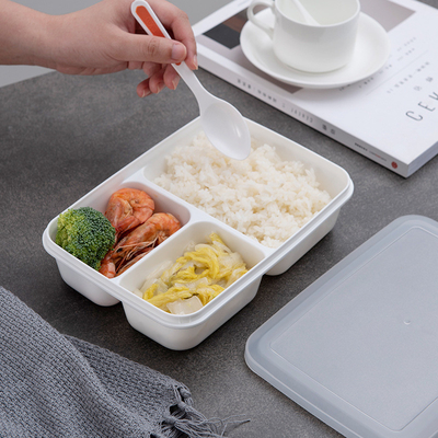 Kotak Makan Bento Plastik PP Ramah Lingkungan BPA Gratis Untuk Anak-Anak