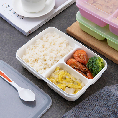 Wadah Makan Siang Plastik Anak yang Dapat Digunakan Kembali, Kotak Makan Siang Bento Bebas BPA